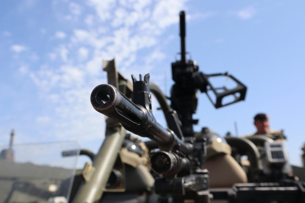 where can I buy guns online